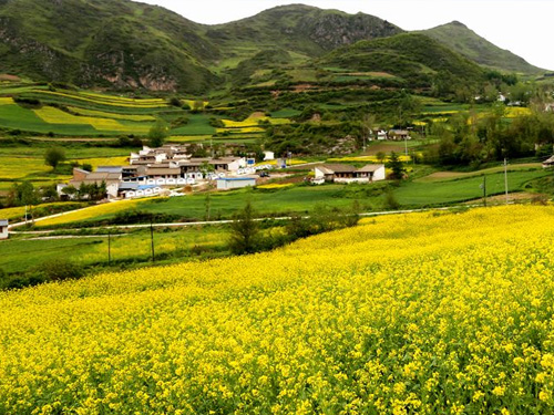 垃圾处理难美丽乡村如何打造？